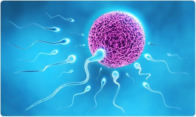 EMERGENCY: TESTOSTERONE AND SPERM IN SHORT SUPPLY